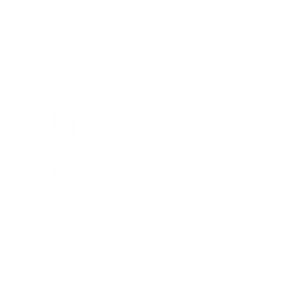 pictogramme d'une voiture au creux de deux mains